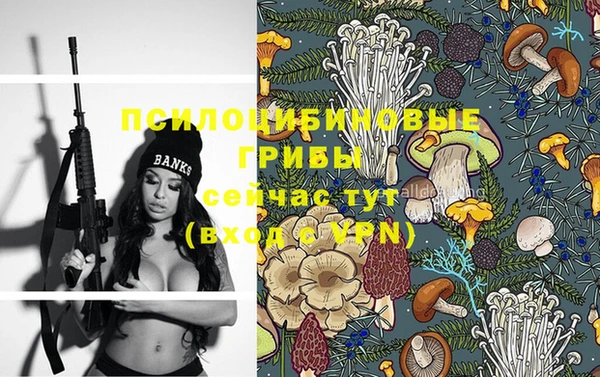 шишки Абаза