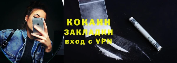 шишки Абаза