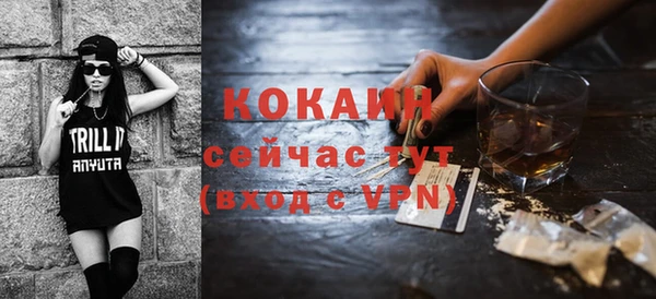 шишки Абаза