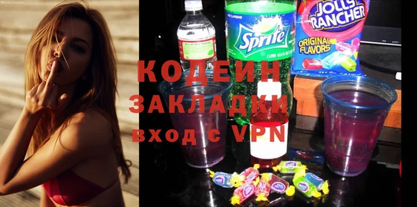 шишки Абаза