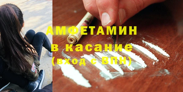 шишки Абаза
