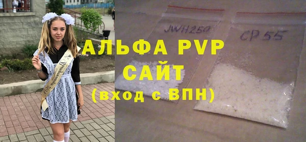 шишки Абаза