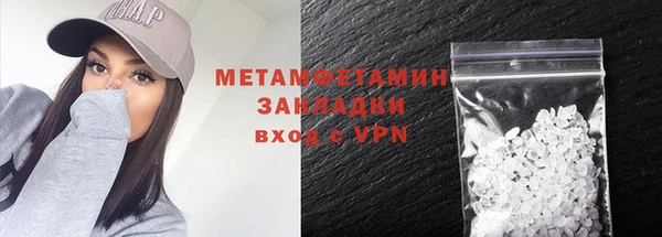 шишки Абаза