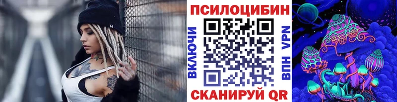 как найти наркотики  Стрежевой  Галлюциногенные грибы GOLDEN TEACHER 