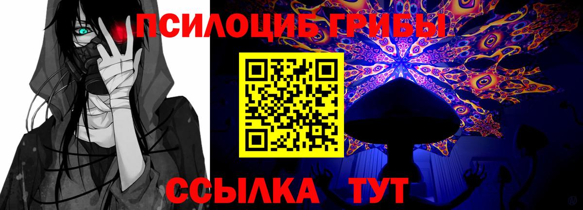Псилоцибиновые грибы GOLDEN TEACHER  Вход с VPN  Псилоцибиновые грибы Magic Shrooms  Стрежевой 