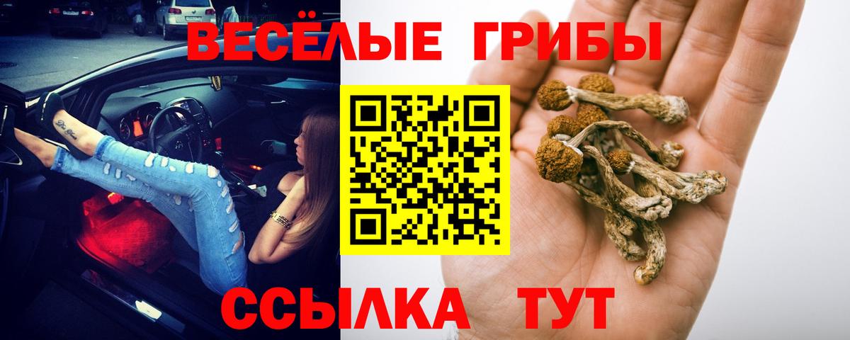 Галлюциногенные грибы Cubensis Стрежевой